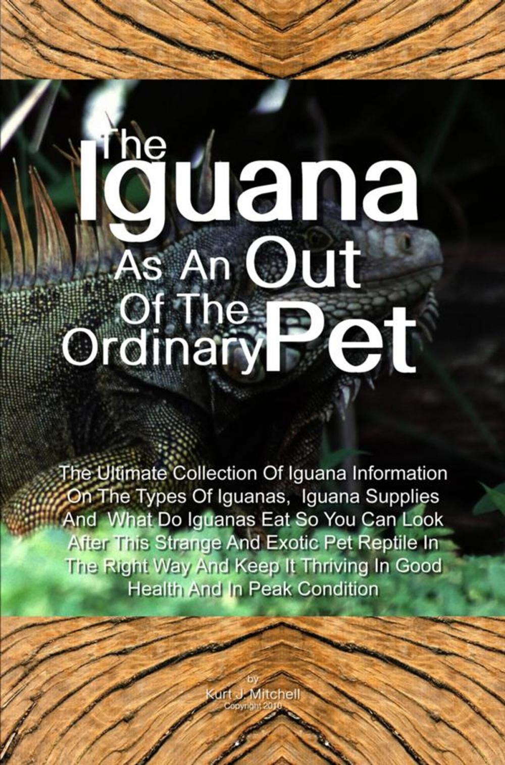 Big bigCover of The Iguana As An Out Of The Ordinary Pet