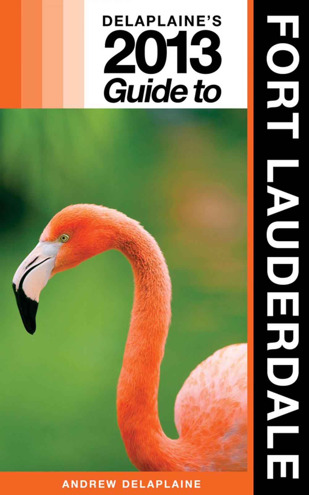 Big bigCover of Delaplaine's 2013 Guide to Fort Lauderdale