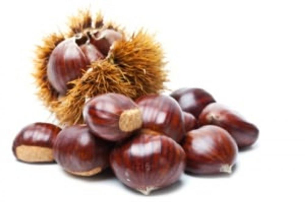 Big bigCover of How to Grow Chestnuts
