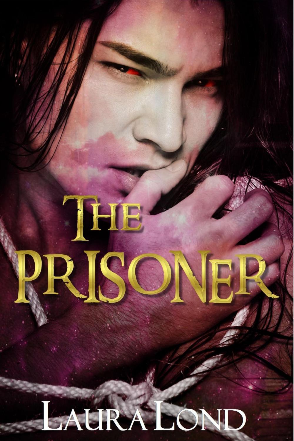 Big bigCover of The Prisoner (The Dark Elf of Syron, #1)