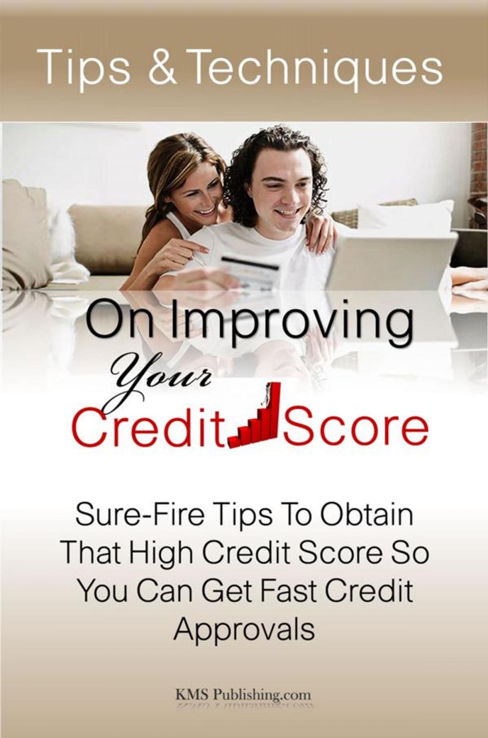 Big bigCover of Tips & Techniques On Improving Your Credit Score