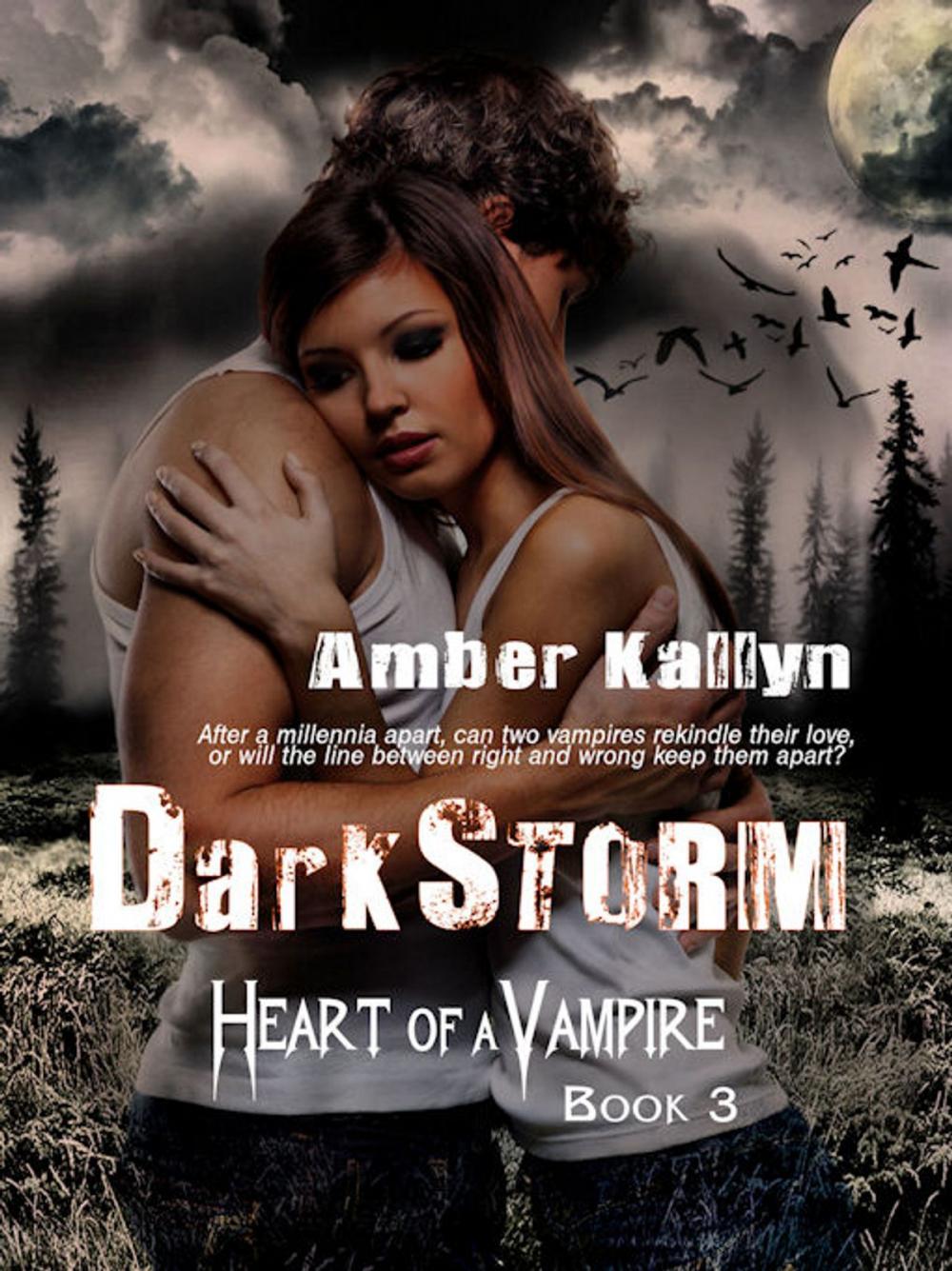 Big bigCover of Darkstorm (Heart of a Vampire, Book 3)