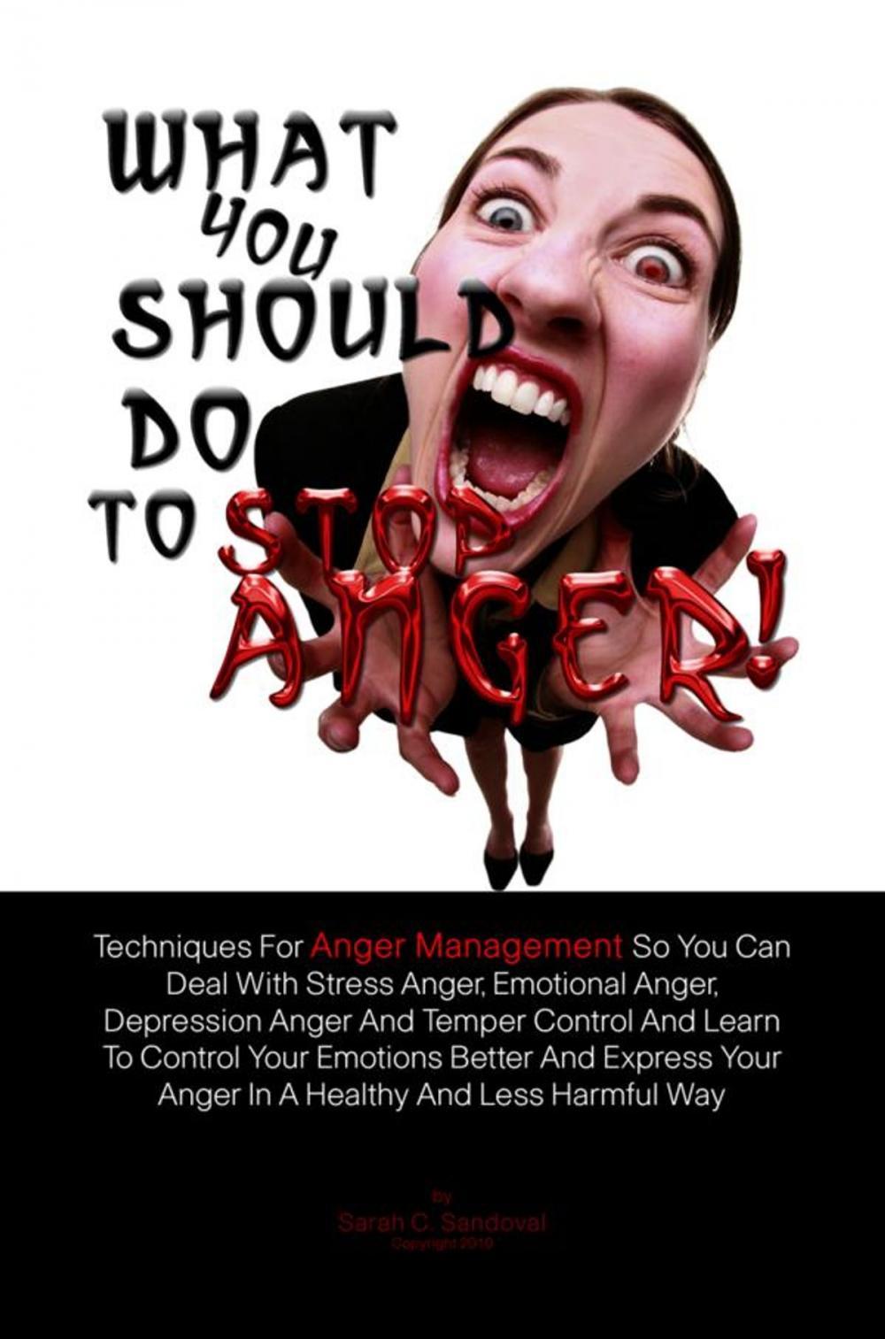 Big bigCover of What You Should Do To Stop Anger!