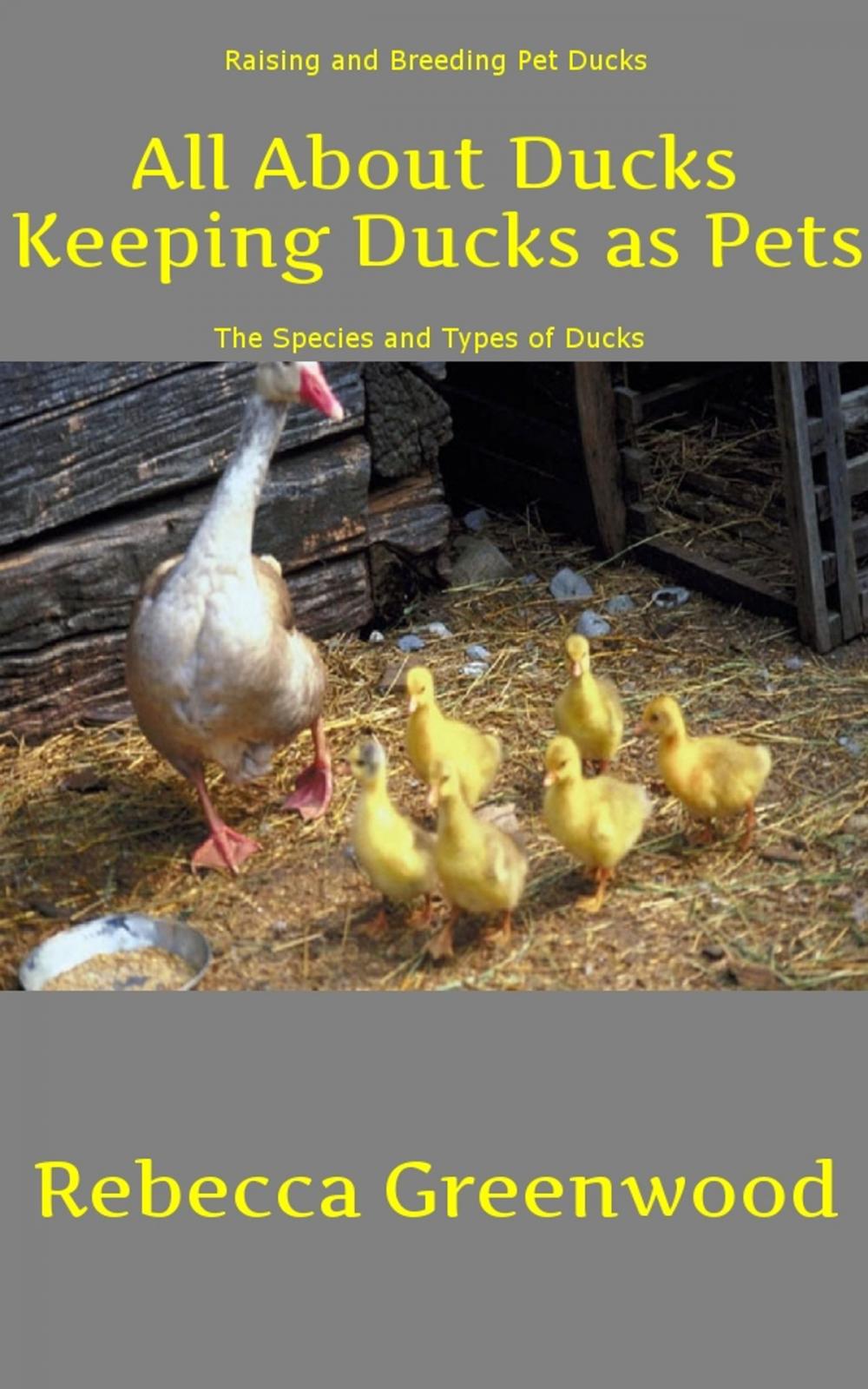 Big bigCover of All About Ducks: Keeping Ducks as Pets