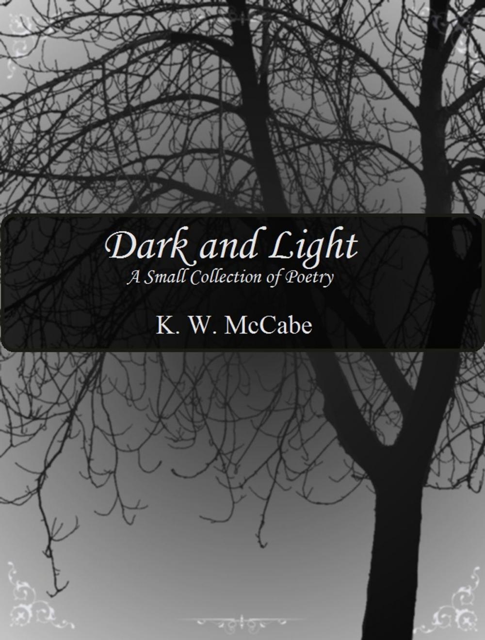 Big bigCover of Dark and Light