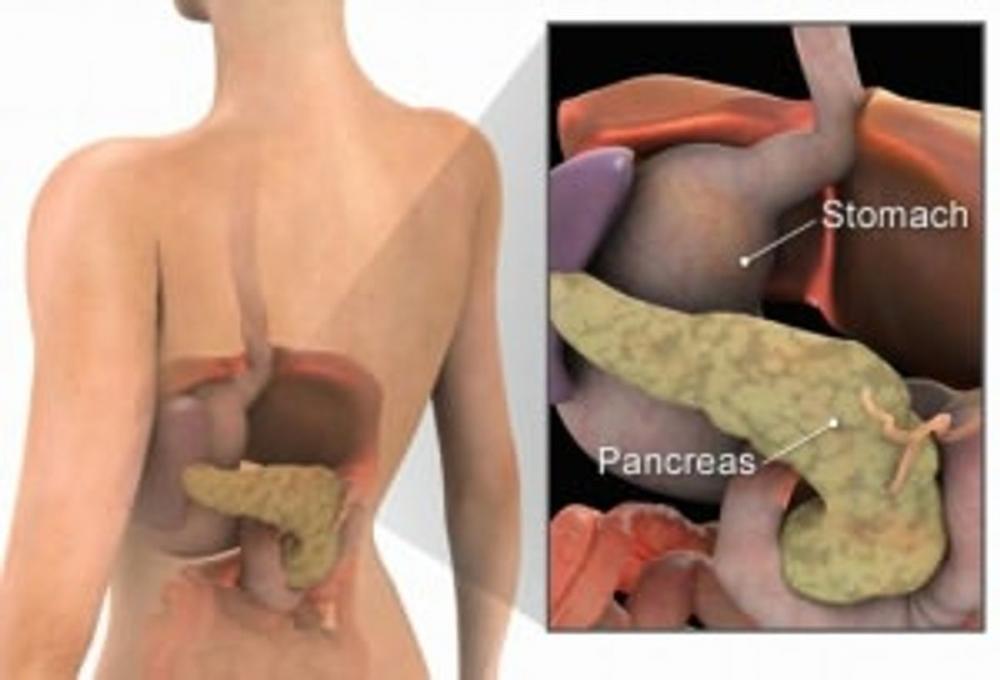 Big bigCover of An Informative Guide About Pancreatic Cancer