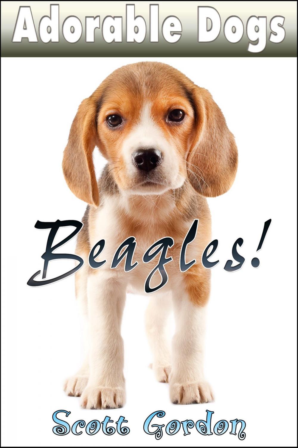 Big bigCover of Adorable Dogs: Beagles!