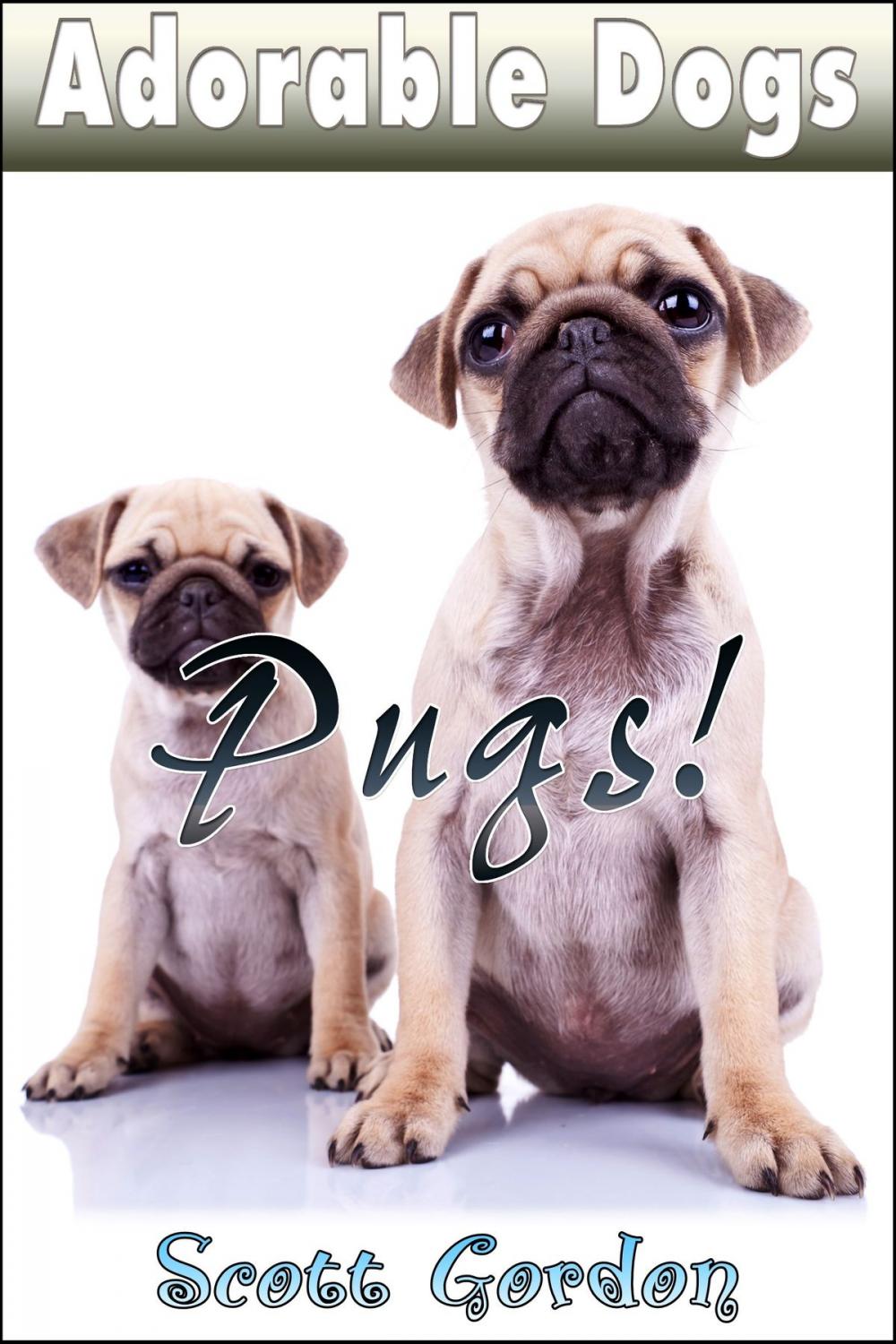 Big bigCover of Adorable Dogs: Pugs!