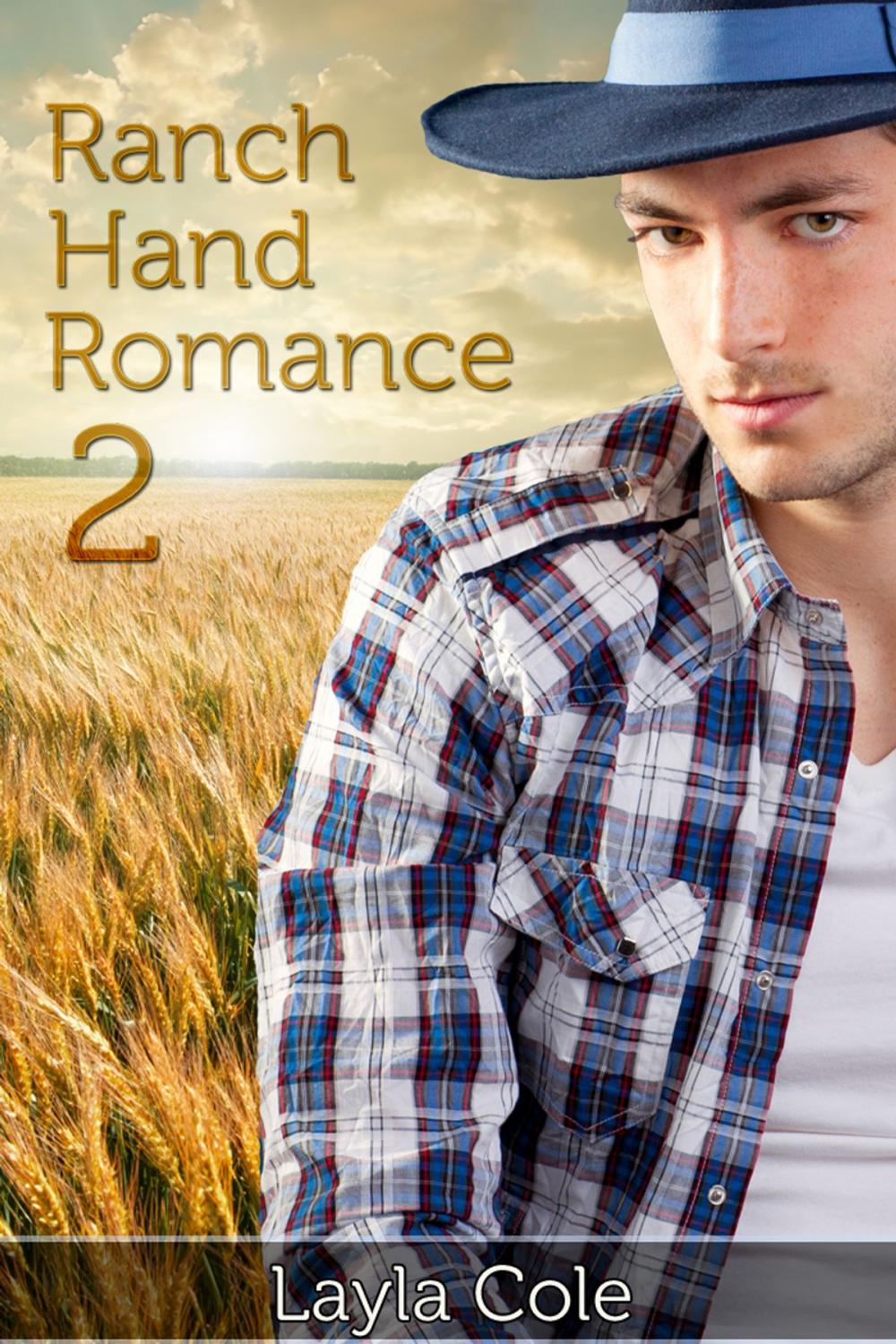 Big bigCover of Ranch Hand Romance 2