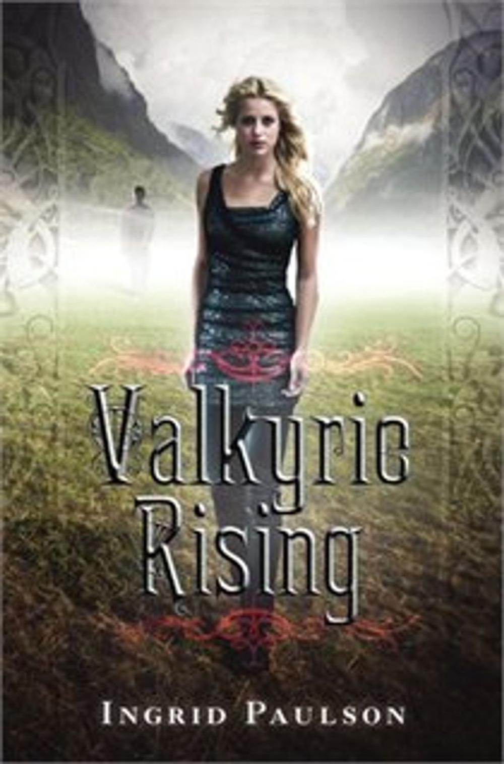 Big bigCover of Valkyrie Rising