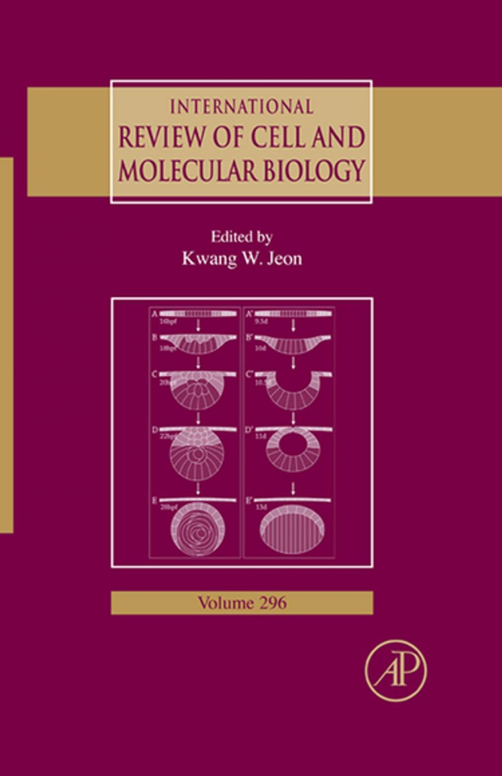 Big bigCover of International Review of Cell and Molecular Biology