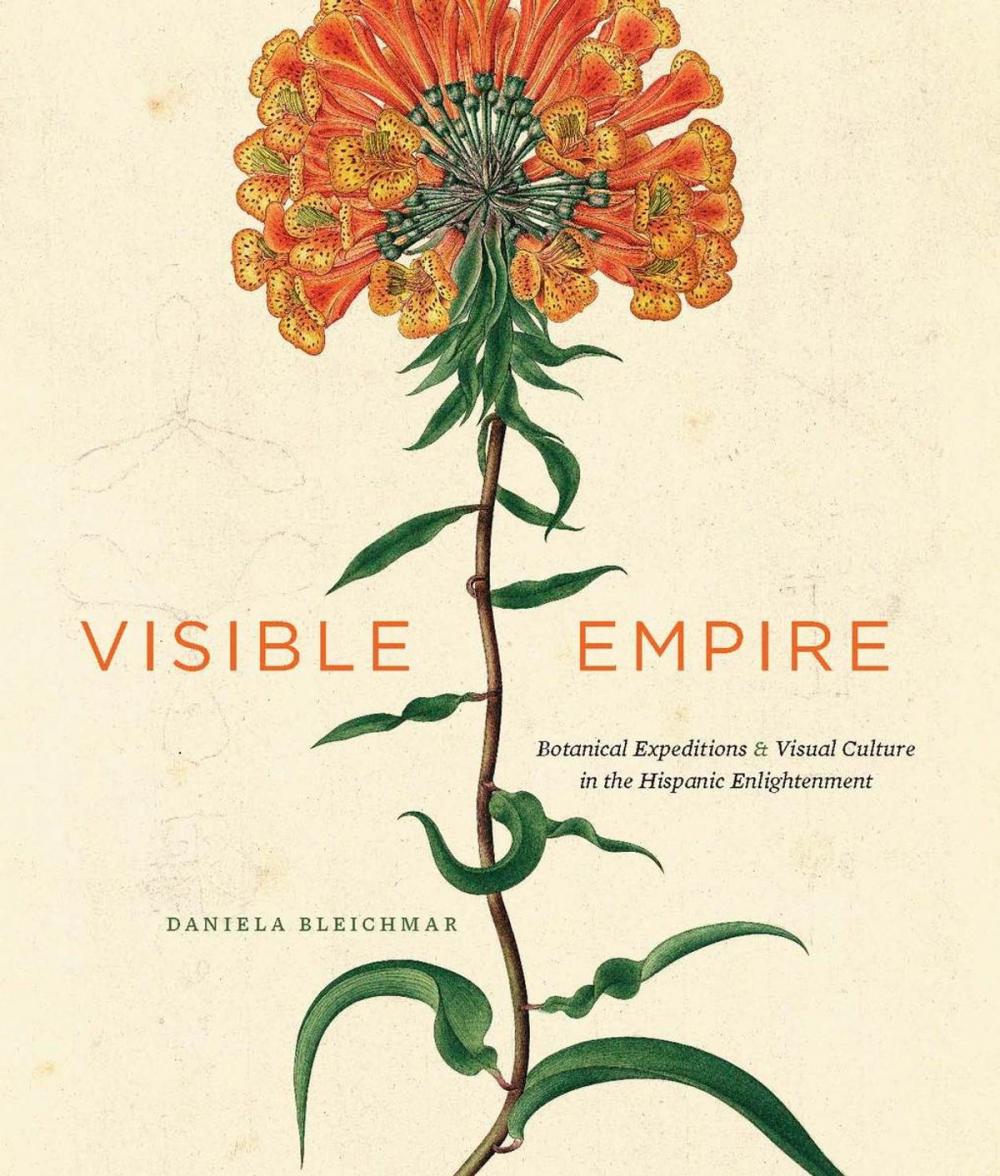 Big bigCover of Visible Empire