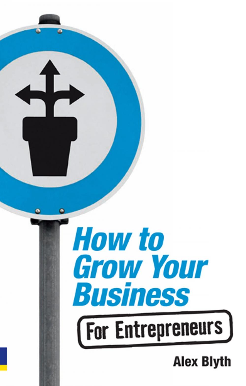 Big bigCover of How to Grow Your Business- For Entrepreneurs