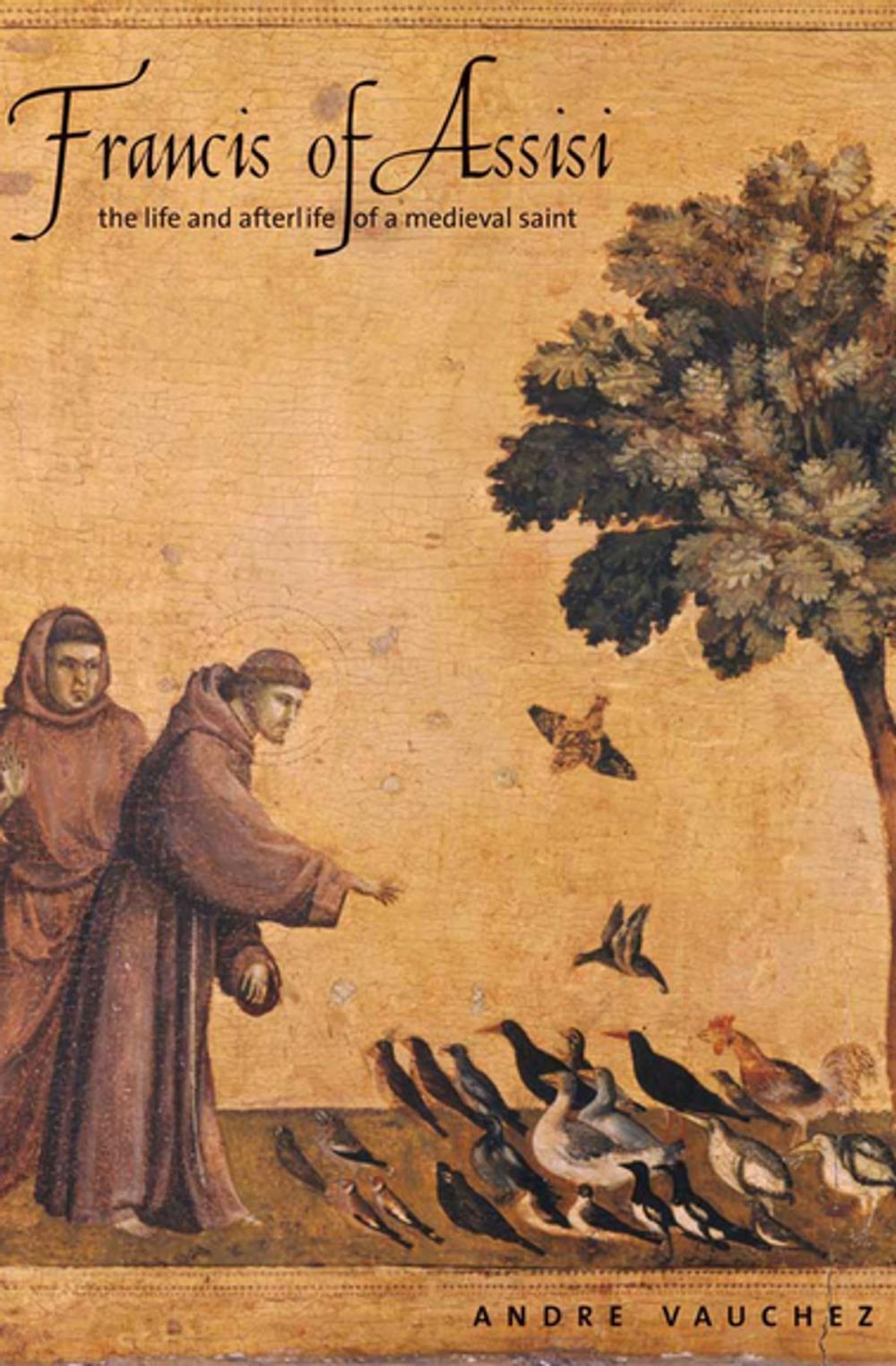 Big bigCover of Francis of Assisi