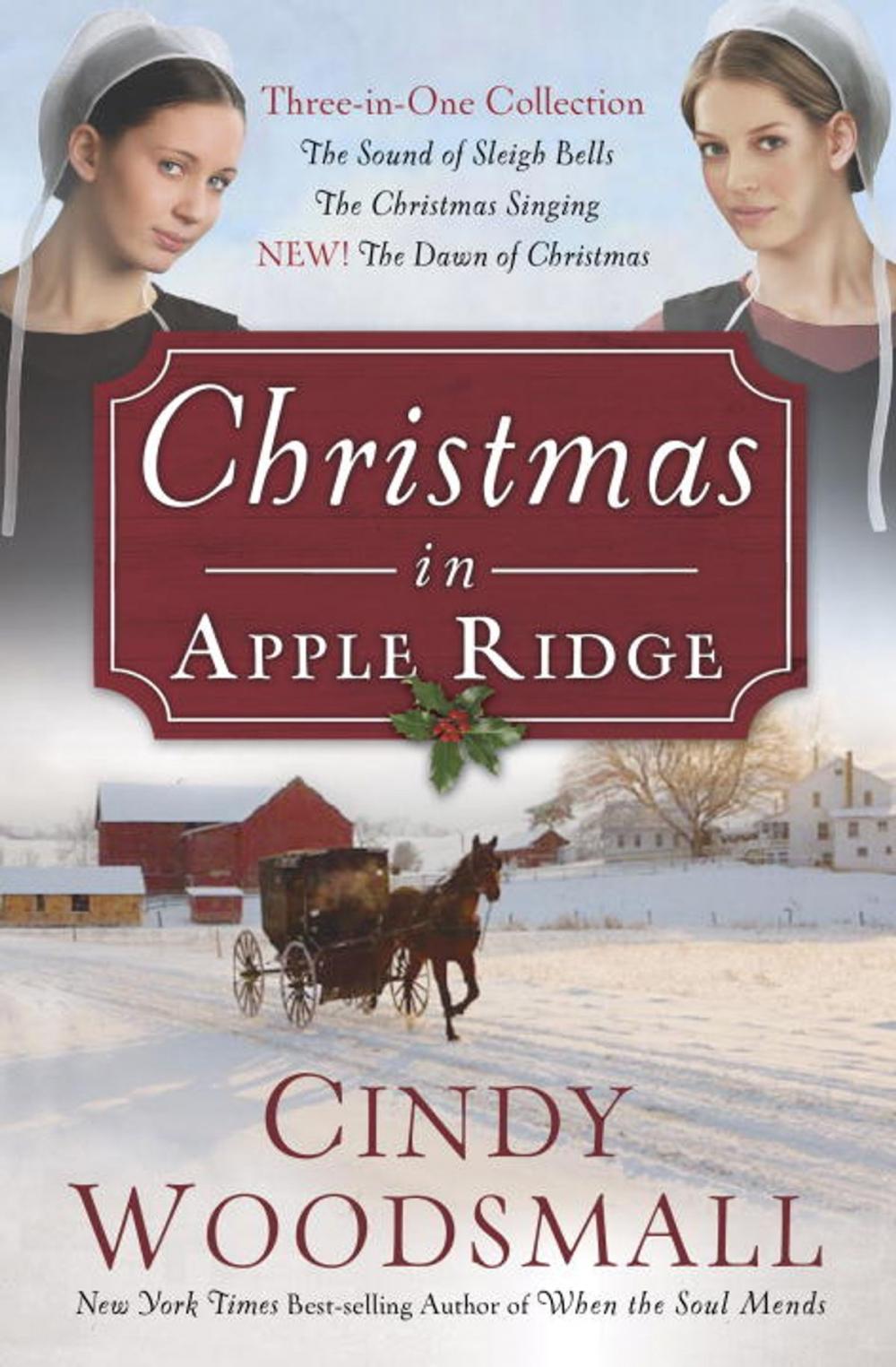 Big bigCover of Christmas in Apple Ridge