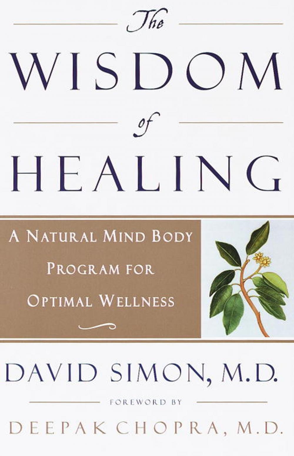 Big bigCover of The Wisdom of Healing