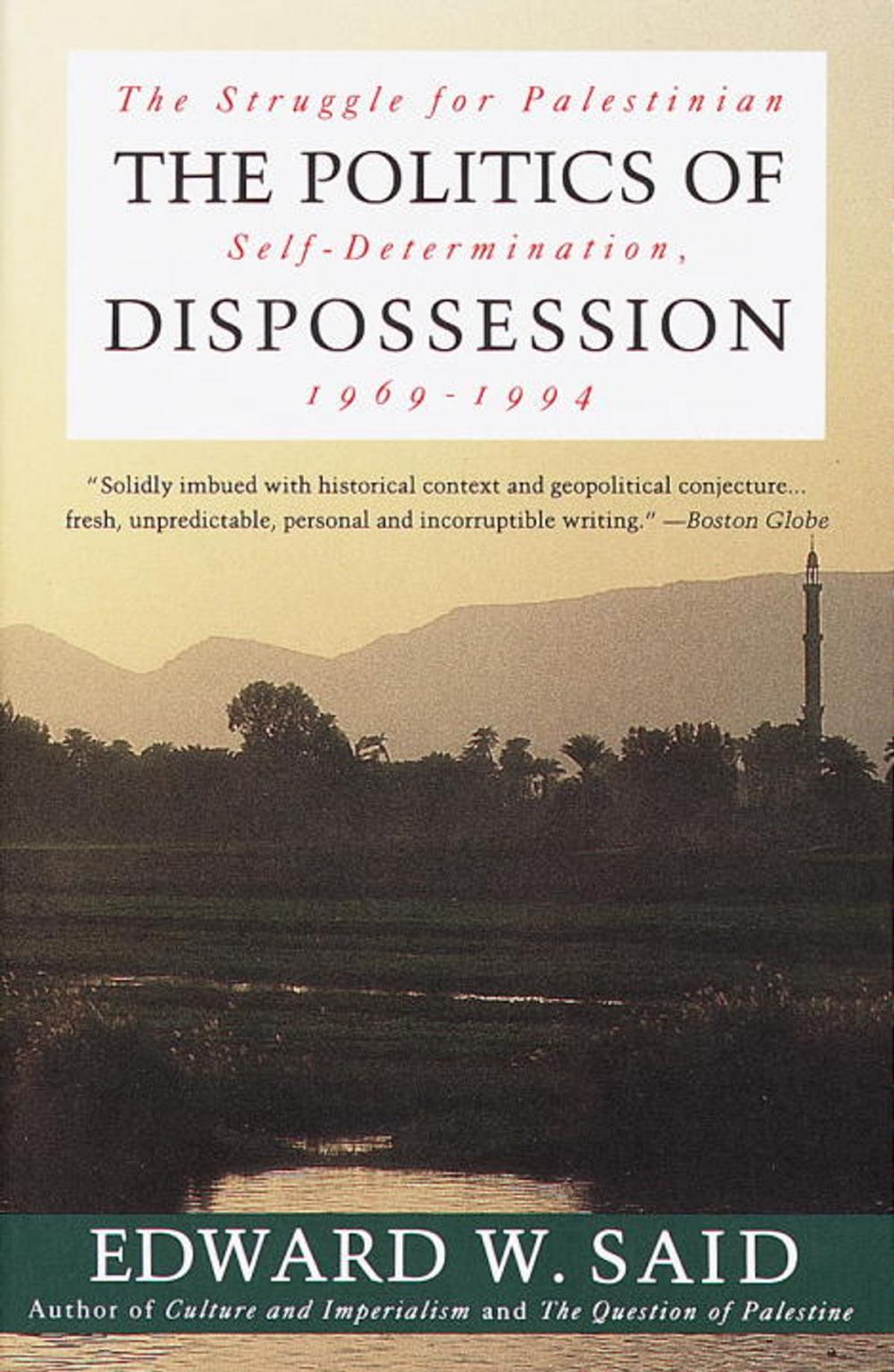 Big bigCover of The Politics of Dispossession