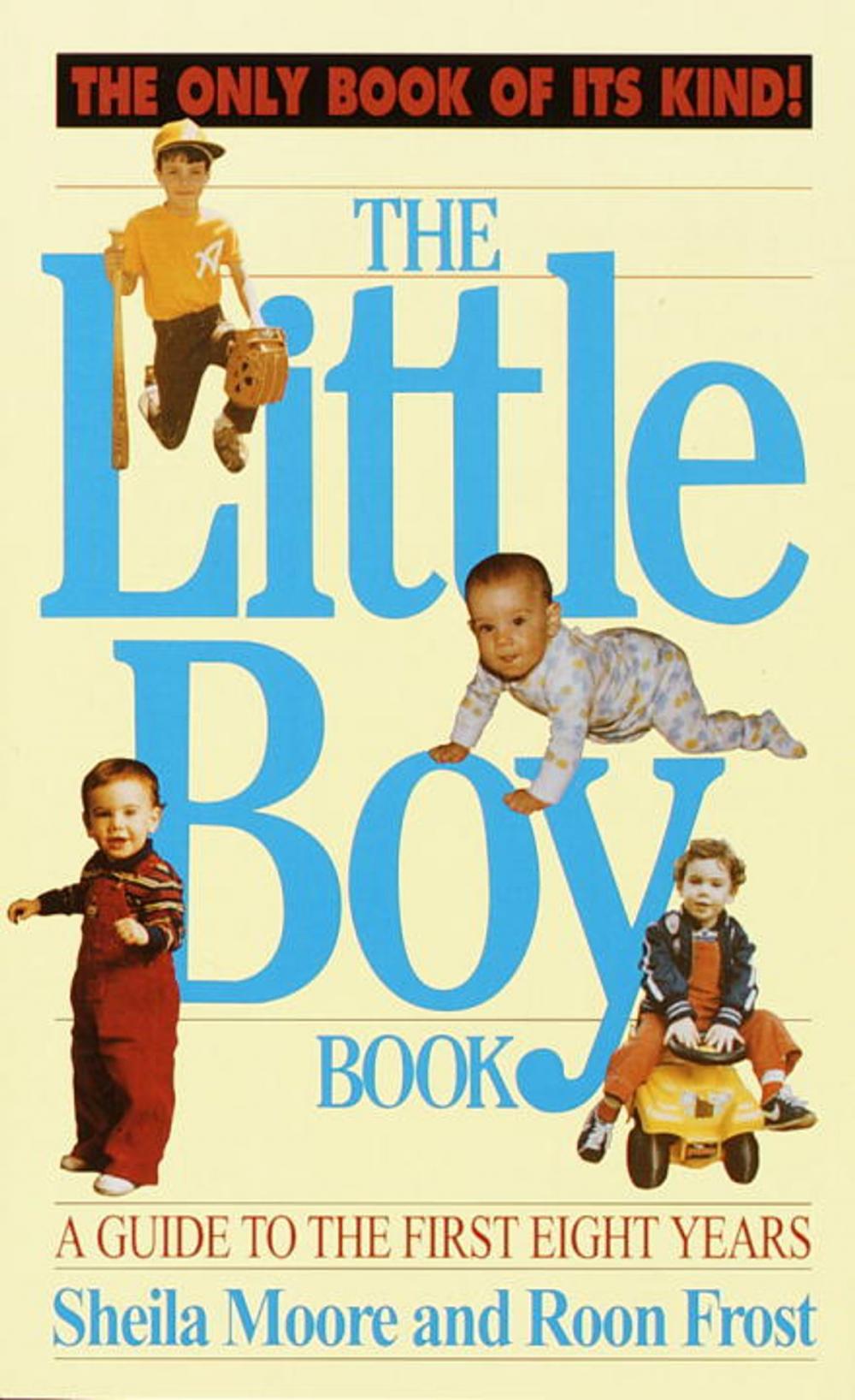 Big bigCover of The Little Boy Book