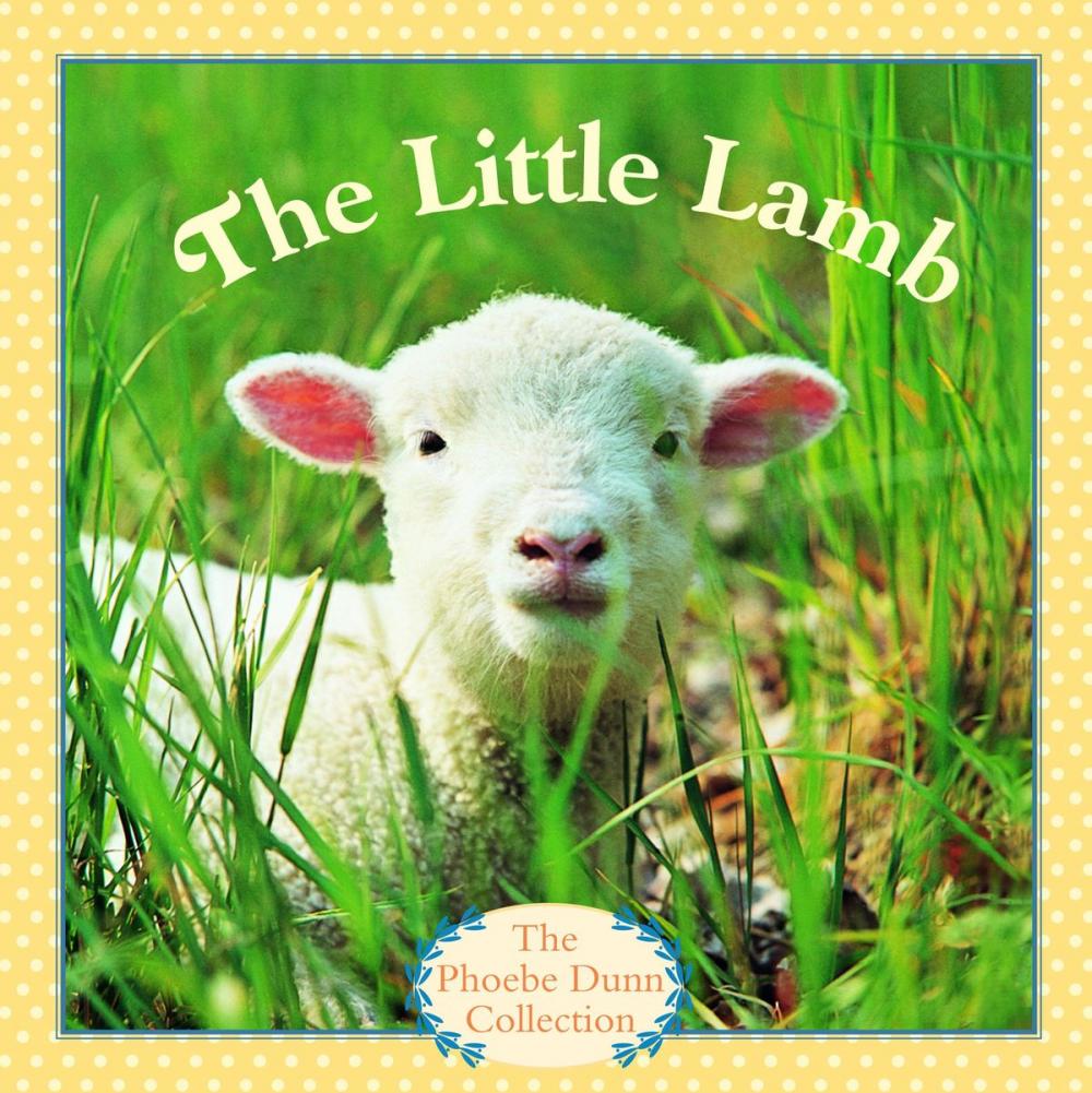 Big bigCover of The Little Lamb