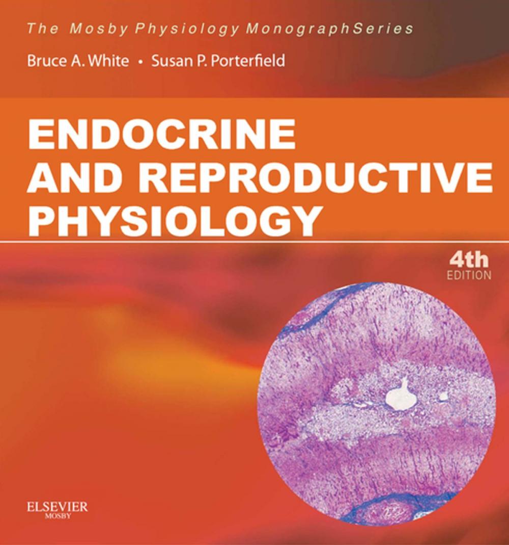 Big bigCover of Endocrine and Reproductive Physiology E-Book