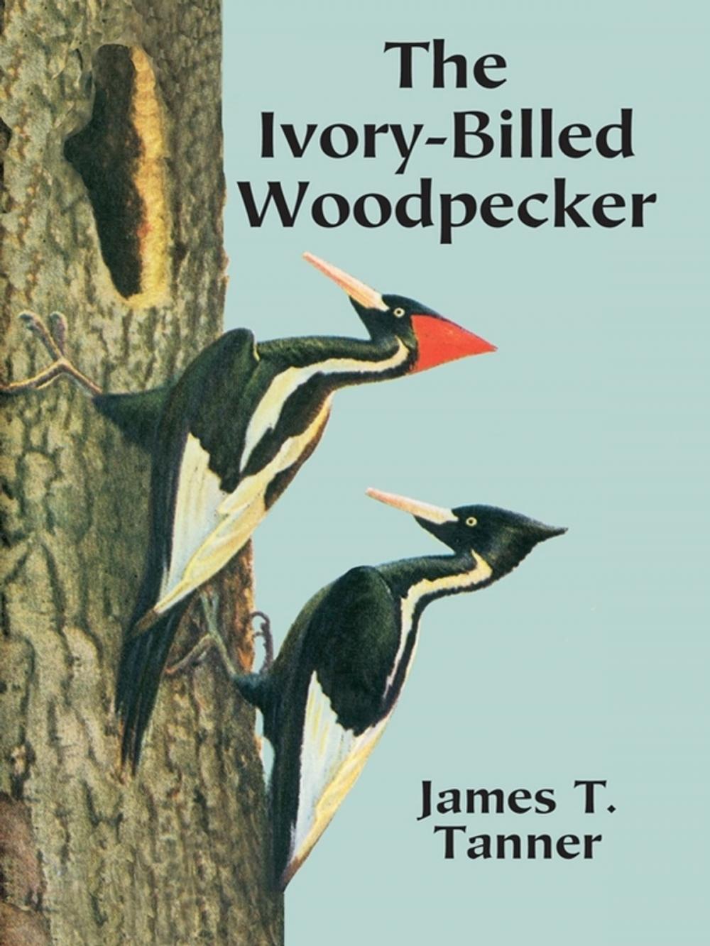 Big bigCover of The Ivory-Billed Woodpecker