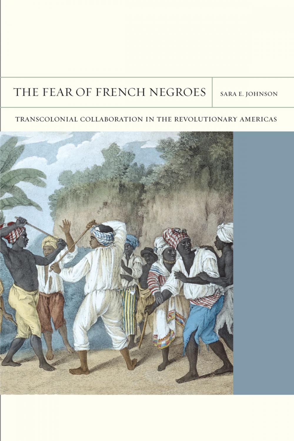 Big bigCover of The Fear of French Negroes