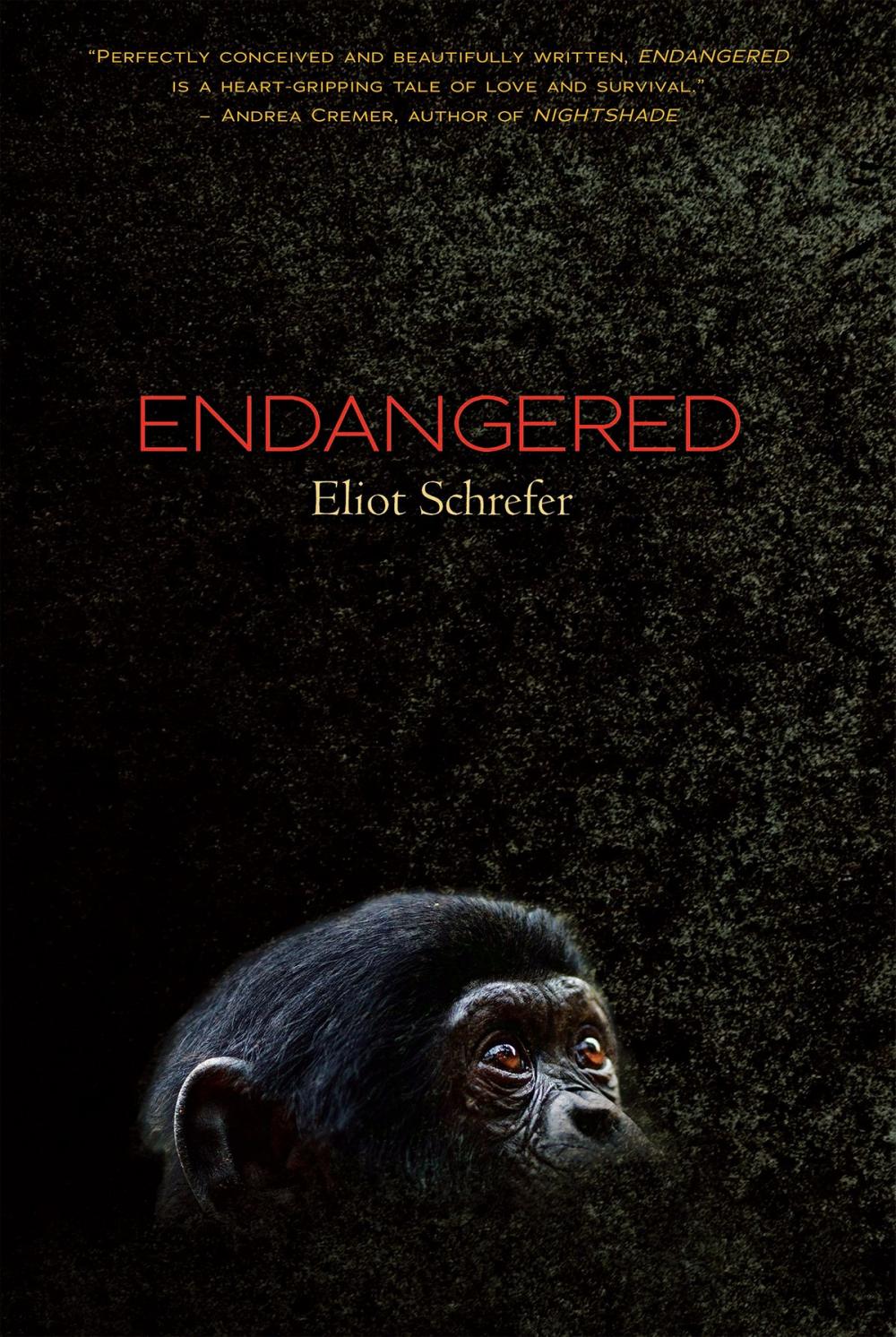 Big bigCover of Endangered