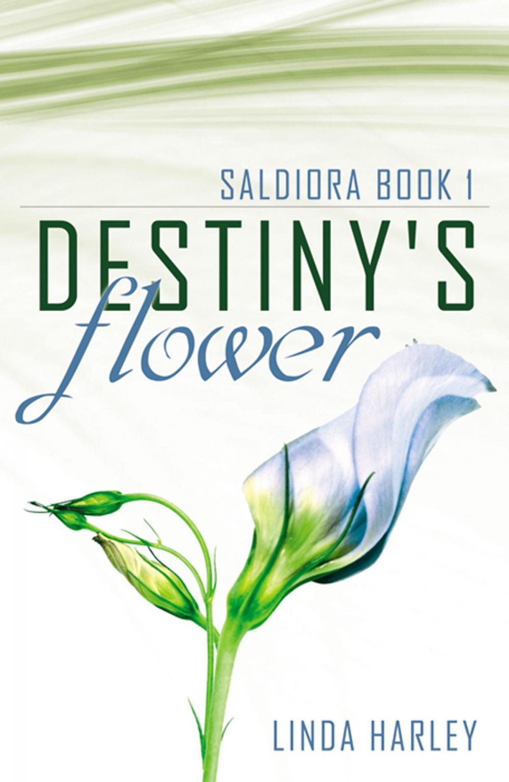 Big bigCover of Destiny;'s Flower