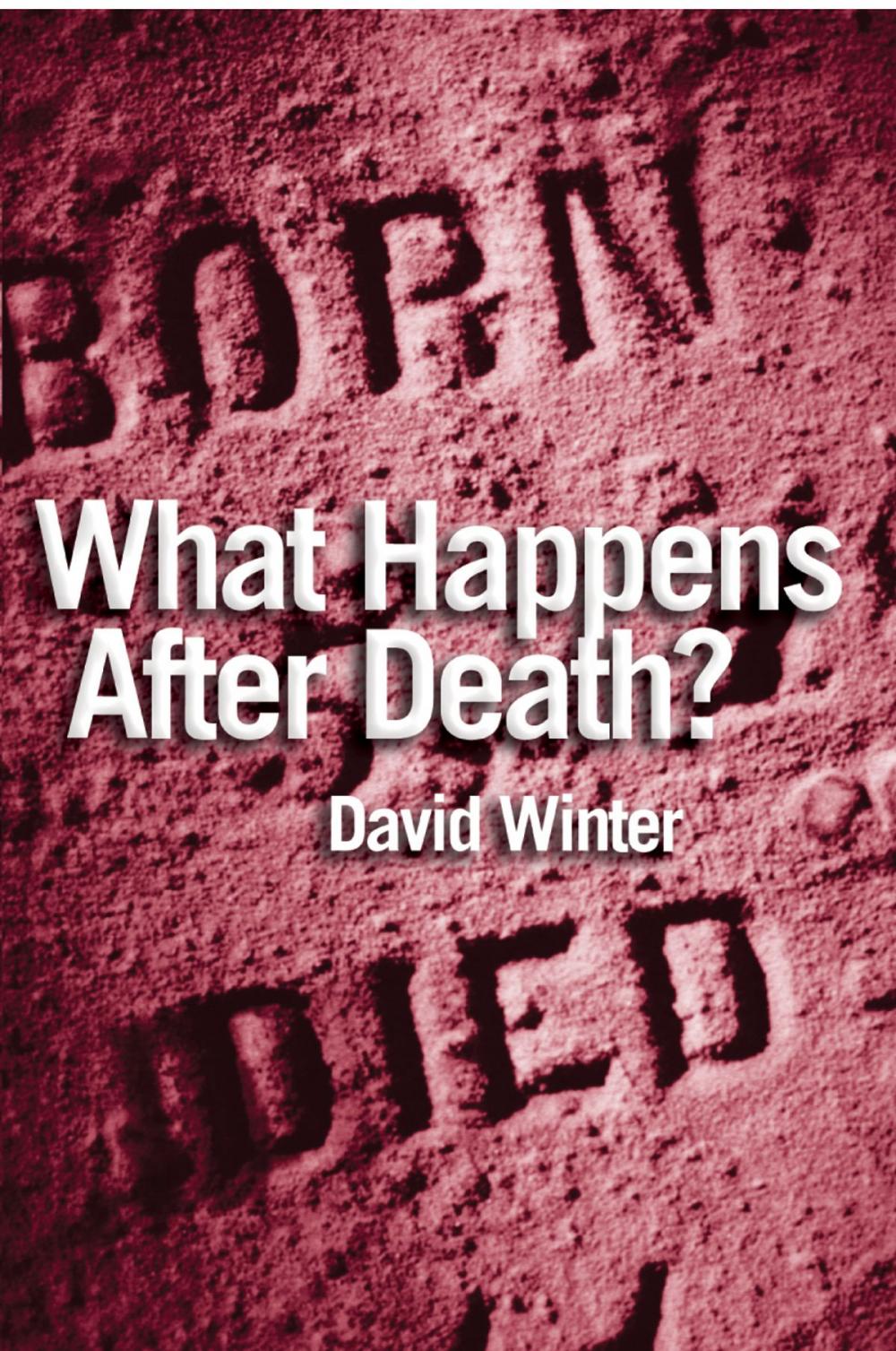 Big bigCover of What Happens After Death?