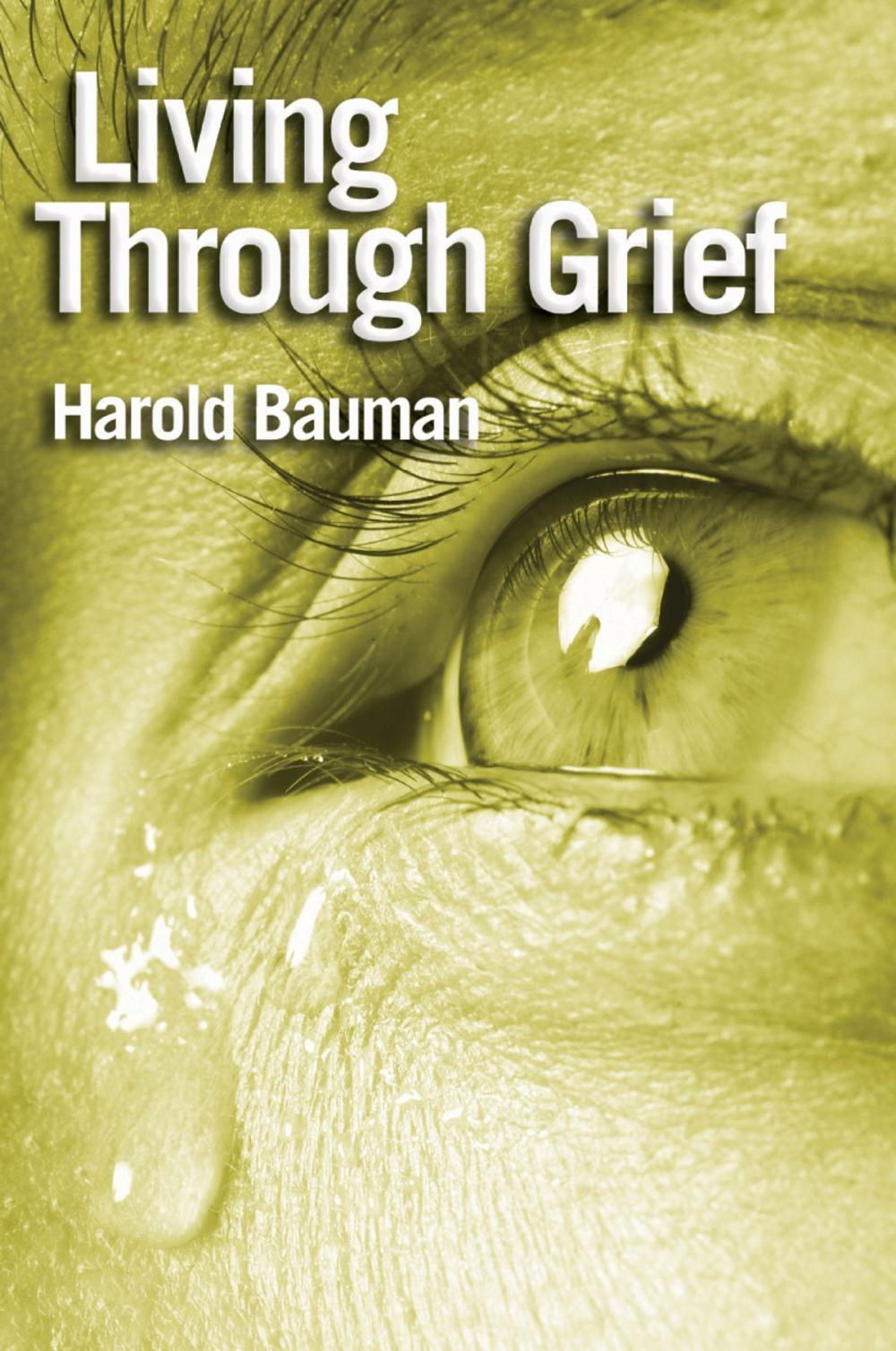 Big bigCover of Living Through Grief
