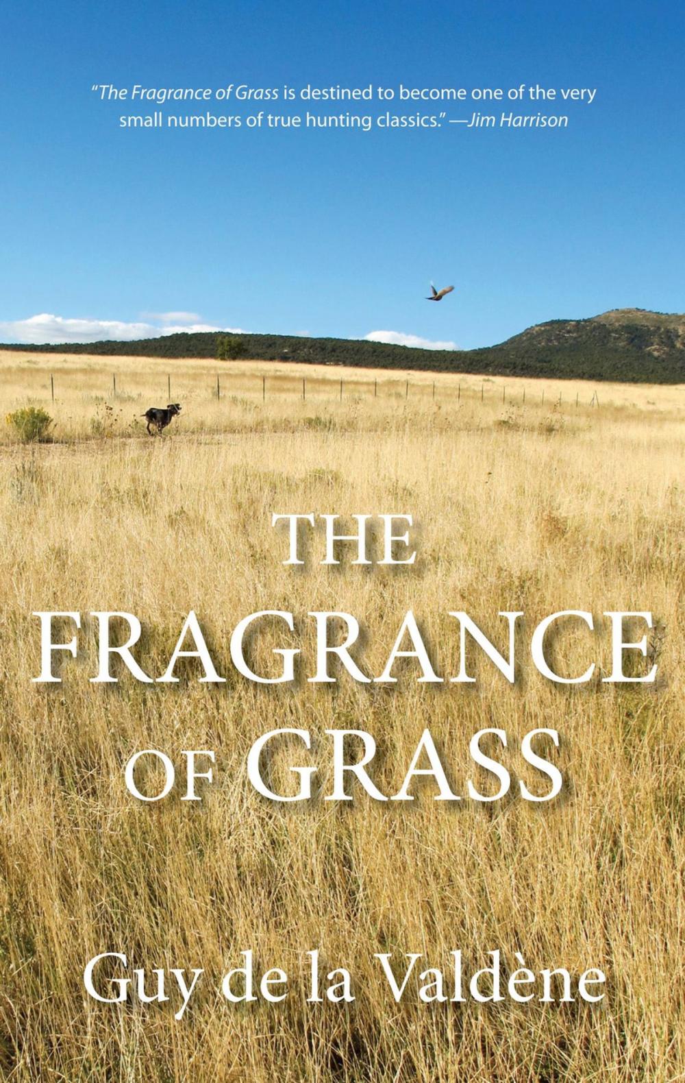 Big bigCover of Fragrance of Grass