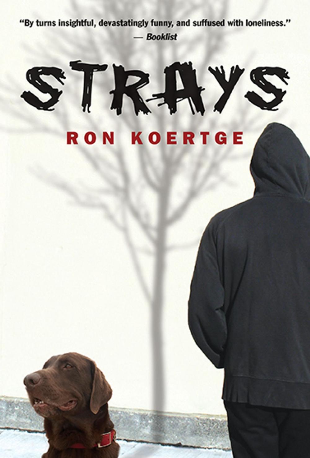 Big bigCover of Strays