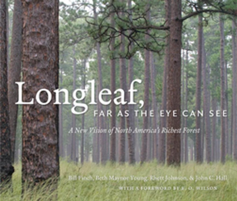 Big bigCover of Longleaf, Far as the Eye Can See