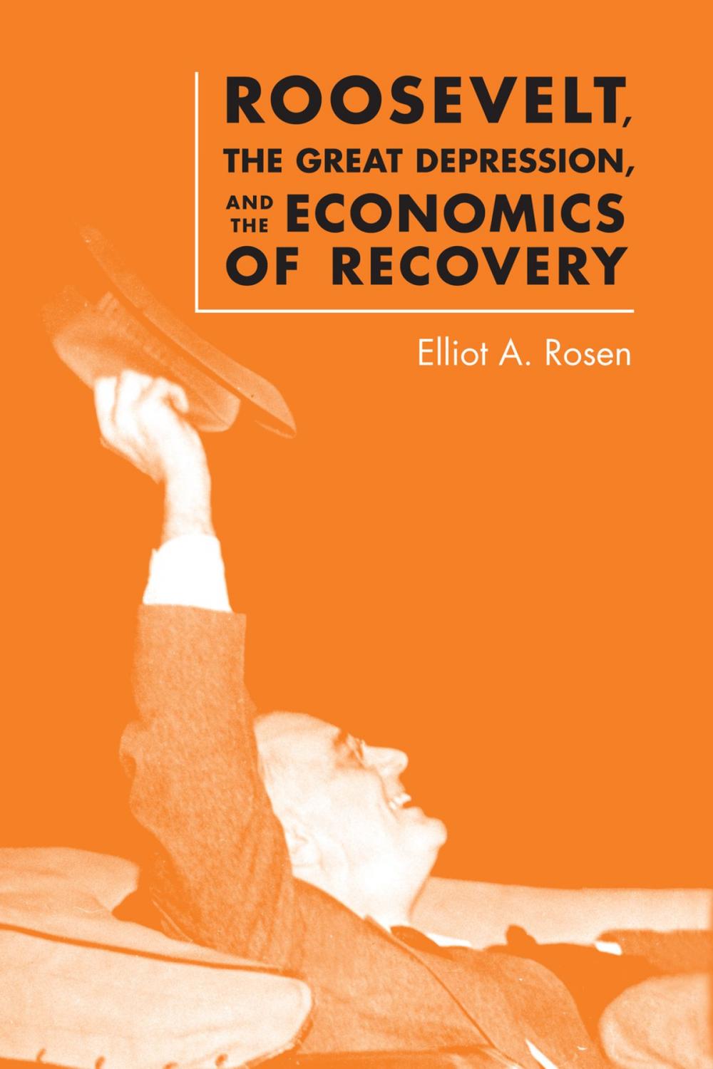 Big bigCover of Roosevelt, the Great Depression, and the Economics of Recovery