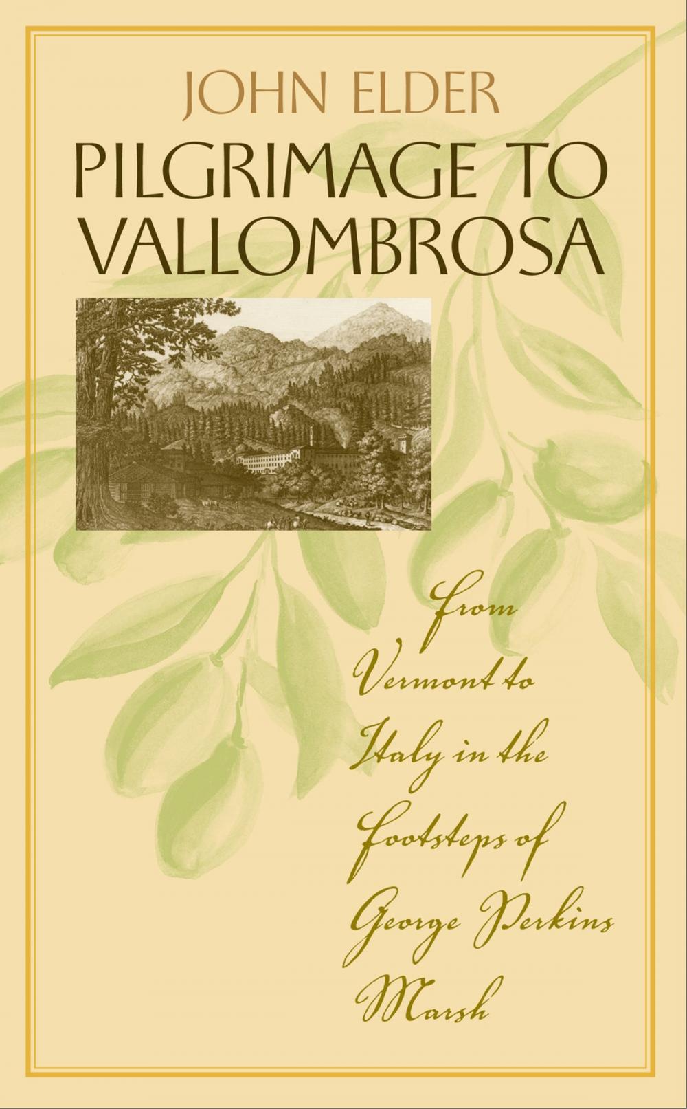 Big bigCover of Pilgrimage to Vallombrosa