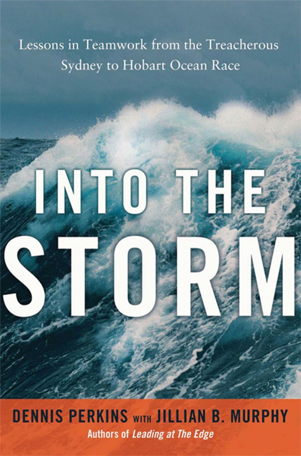 Big bigCover of Into the Storm