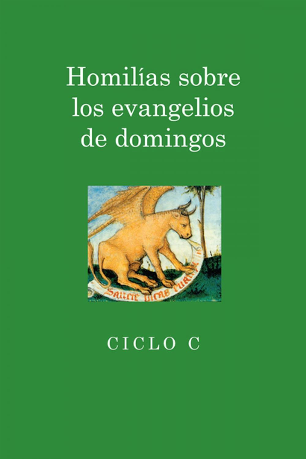 Big bigCover of Homilias sobre los evangelios de domingos