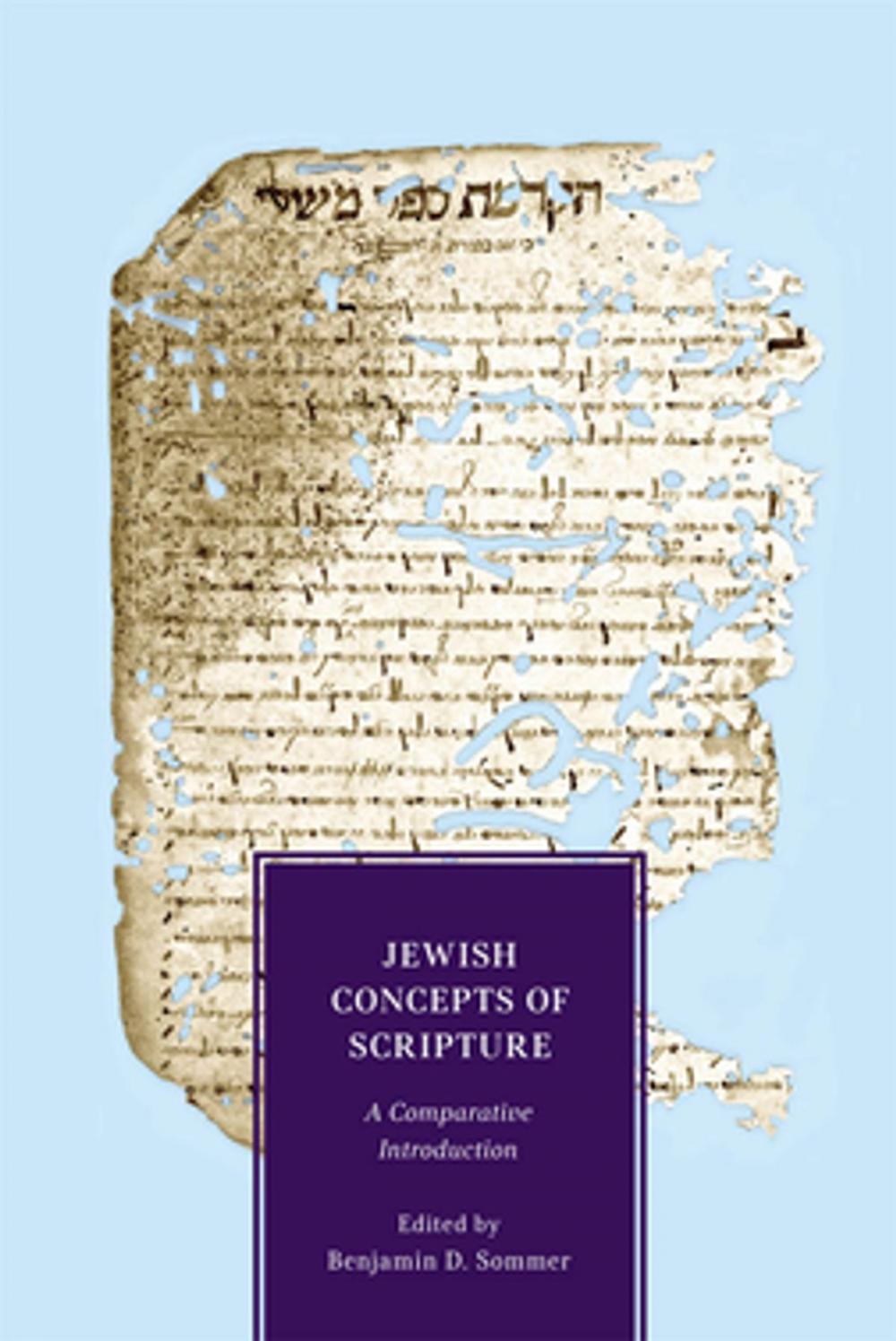 Big bigCover of Jewish Concepts of Scripture