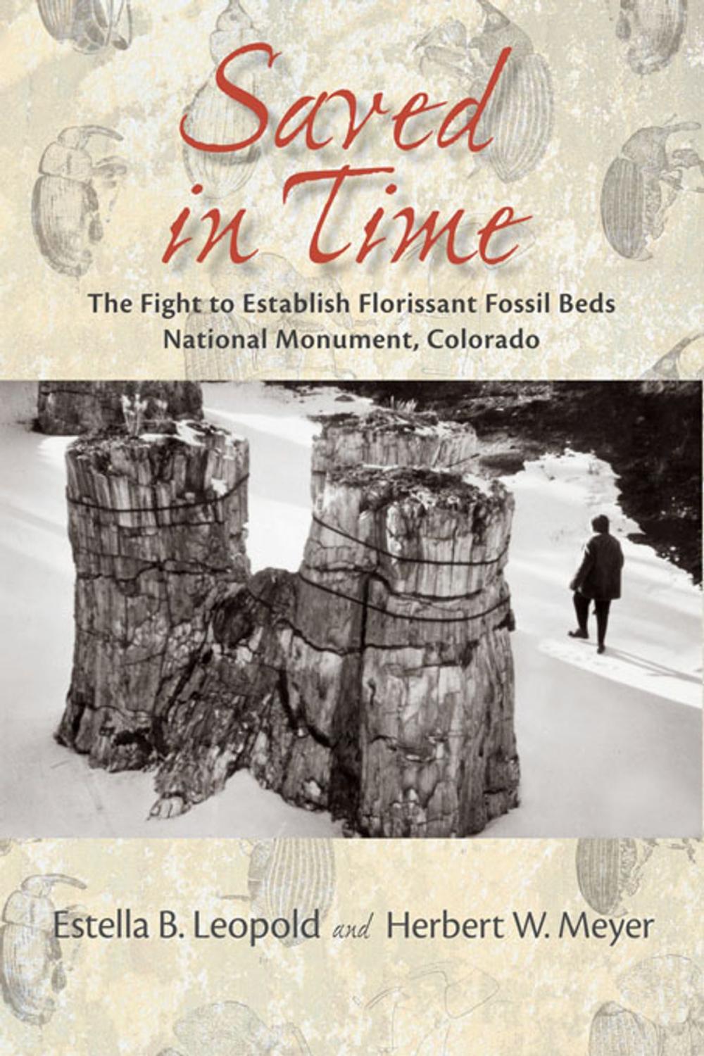 Big bigCover of Saved in Time: The Fight to Establish Florissant Fossil Beds National Monument, Colorado