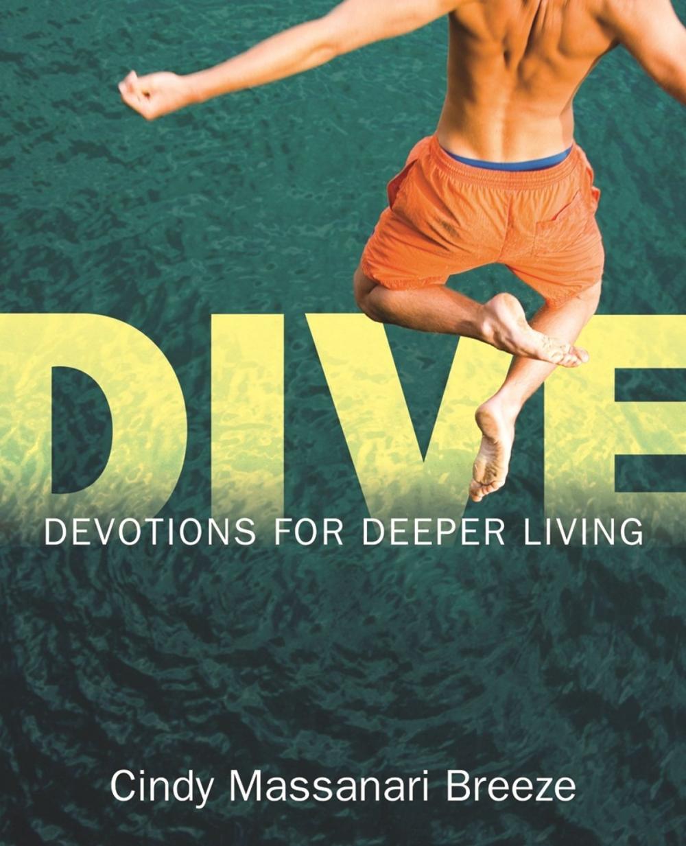 Big bigCover of Dive