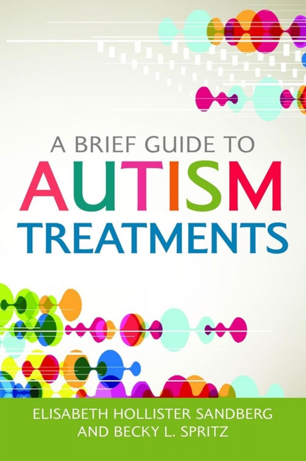 Big bigCover of A Brief Guide to Autism Treatments