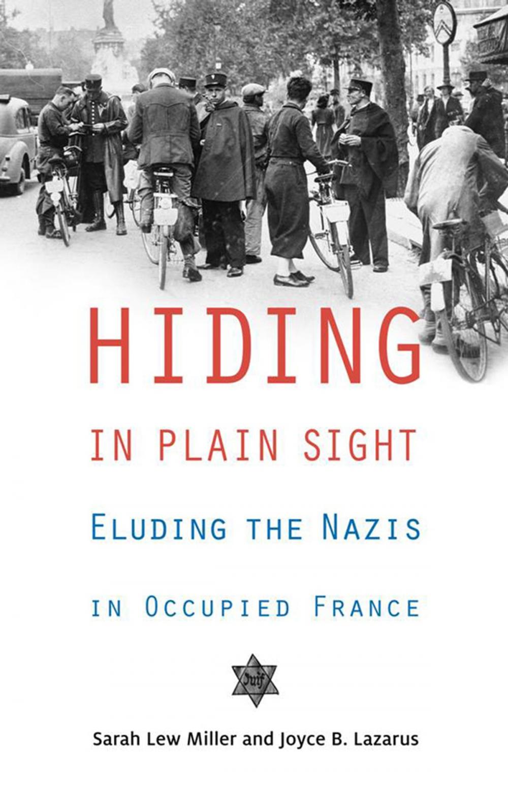 Big bigCover of Hiding in Plain Sight