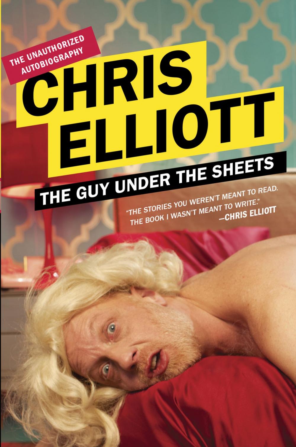 Big bigCover of The Guy Under the Sheets