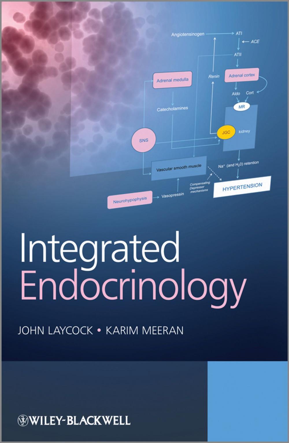 Big bigCover of Integrated Endocrinology