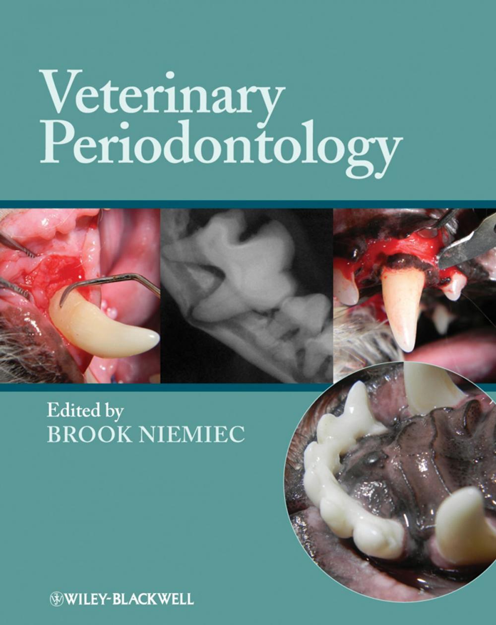 Big bigCover of Veterinary Periodontology