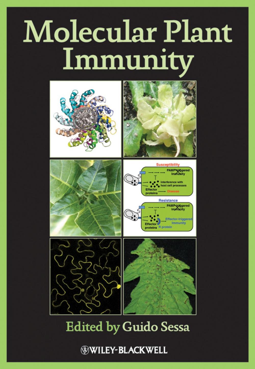 Big bigCover of Molecular Plant Immunity