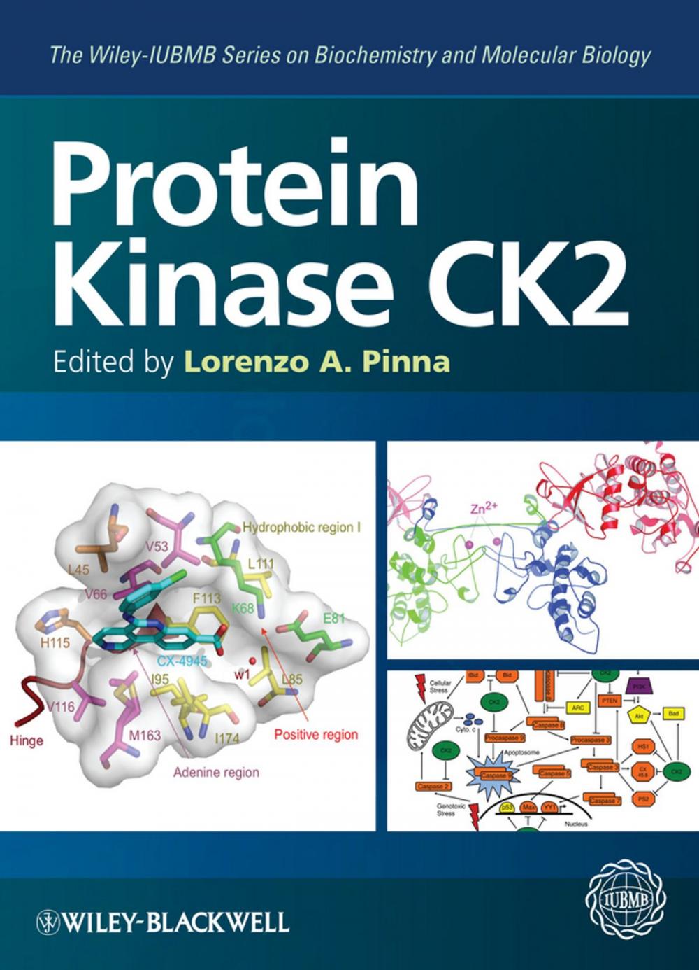 Big bigCover of Protein Kinase CK2