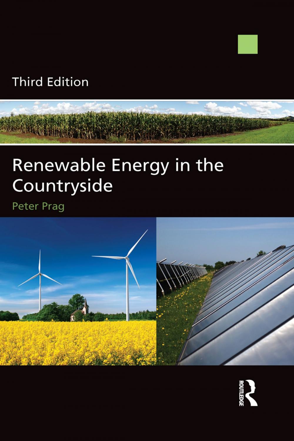 Big bigCover of Renewable Energy in the Countryside