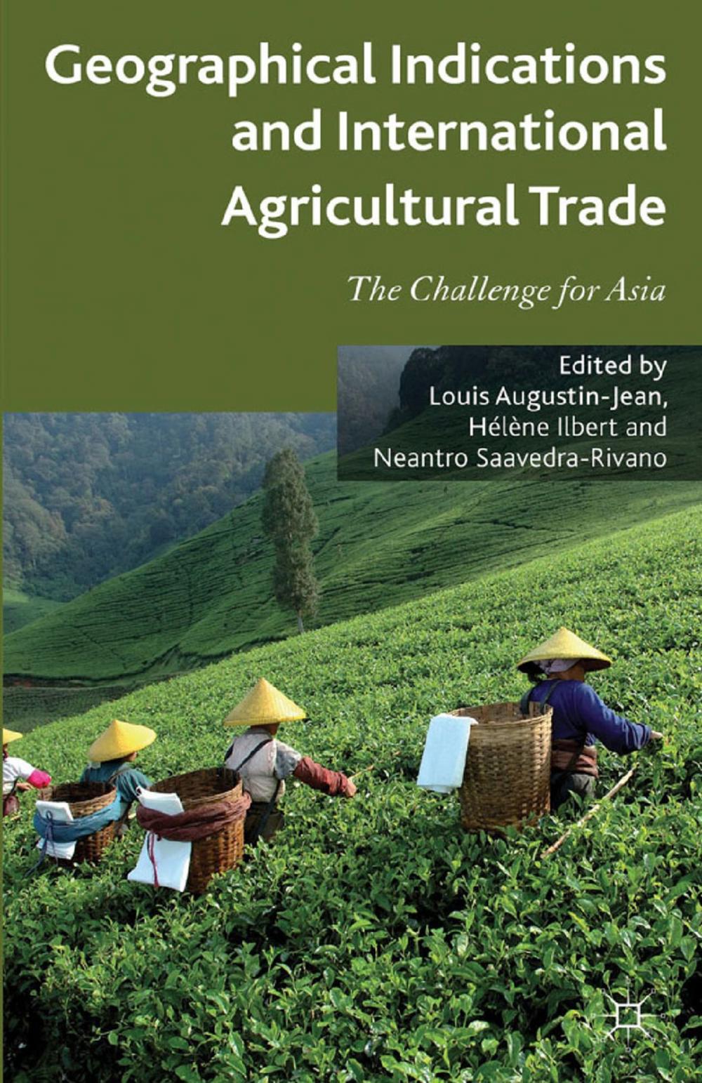 Big bigCover of Geographical Indications and International Agricultural Trade