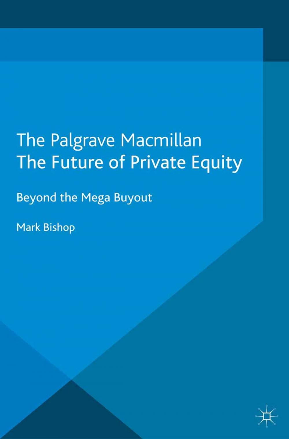 Big bigCover of The Future of Private Equity